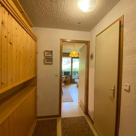 Apartament Chatel: 2 Pieces, Balcon, Parking, Wifi, Animaux Ok - Fr-1-198-265 *
