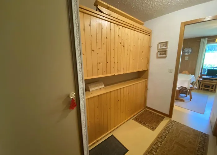Chatel: 2 Pieces, Balcon, Parking, Wifi, Animaux Ok - Fr-1-198-265 *